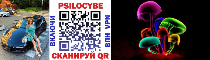 где купить наркоту  Коряжма  Псилоцибиновые грибы Psilocybine cubensis 