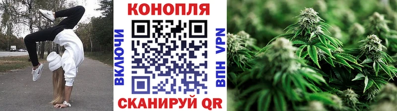 Бошки Шишки Amnesia  hydra ССЫЛКА  Коряжма 